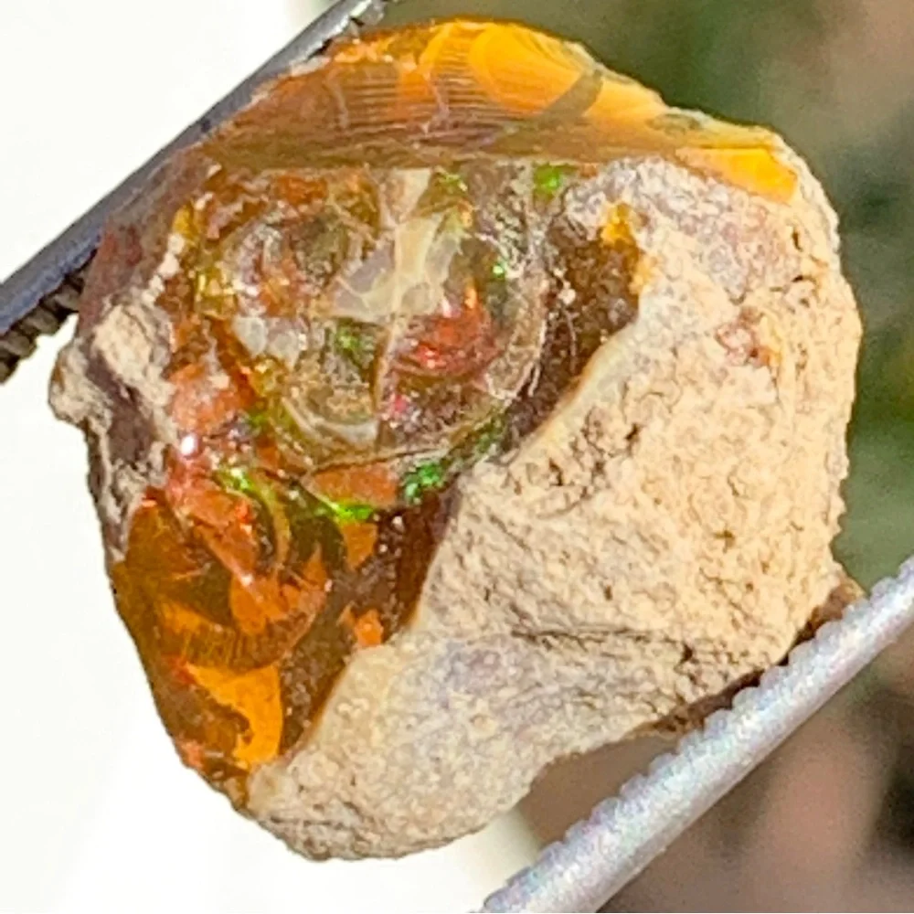 Dark Welo 6.60Ct Very Rare Ethiopian Dark Base Welo Opal Rough